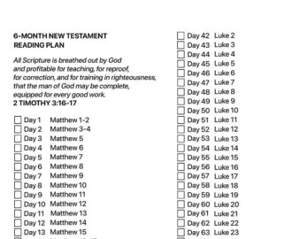 6 month New Testament Bible Reading Plan printable Etsy