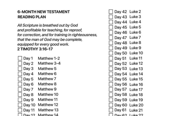 6 month New Testament Bible Reading Plan printable Etsy