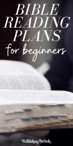 7 Bible Reading Plans That Are Perfect For Beginners In 2021
