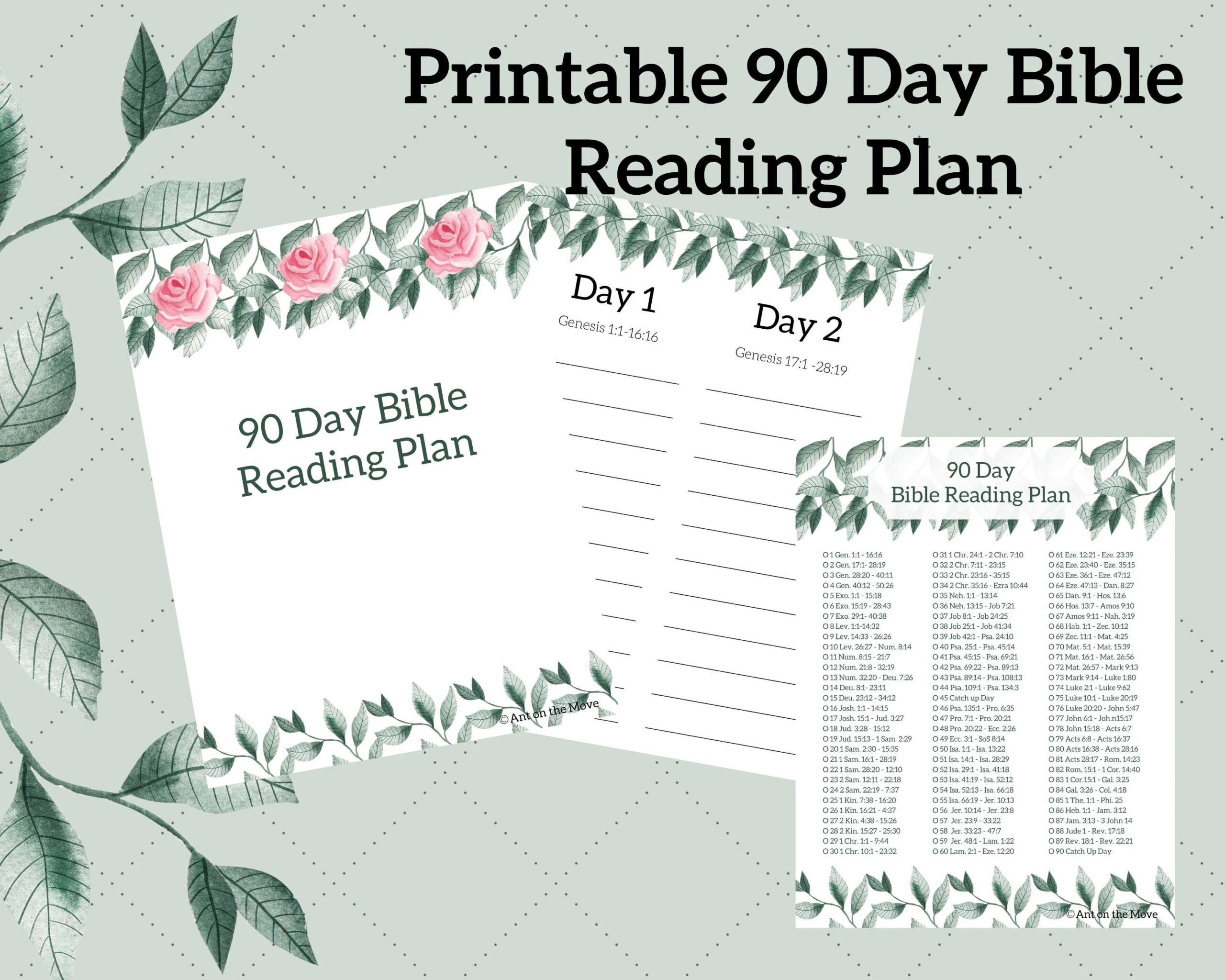 90 Day Bible Reading Plan Printable Reading Plan Read The 