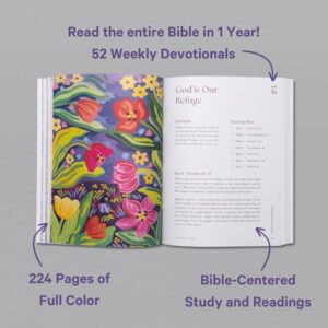 A Beautiful Year In The Bible The 52 Week Bible Study For Women SC Alabaster Co 9781952357589 Amazon Books