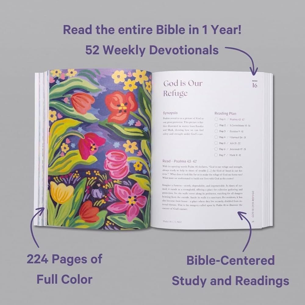 A Beautiful Year In The Bible The 52 Week Bible Study For Women SC Alabaster Co 9781952357589 Amazon Books