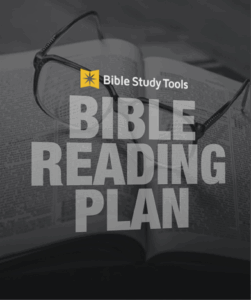 a one year bible reading plan printable download free