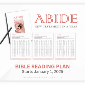 abide 2025 bible reading plan joanna weaver