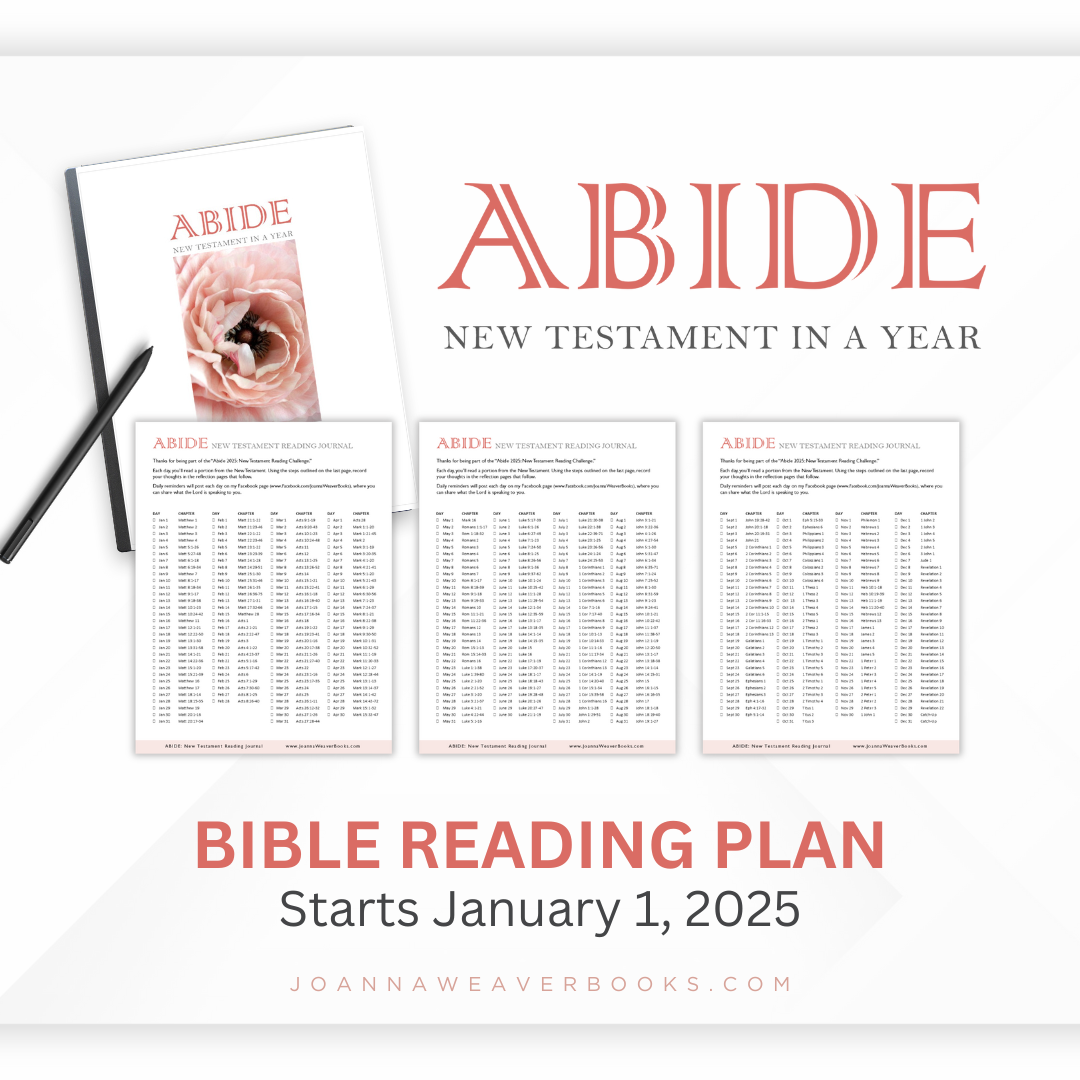 abide 2025 bible reading plan joanna weaver