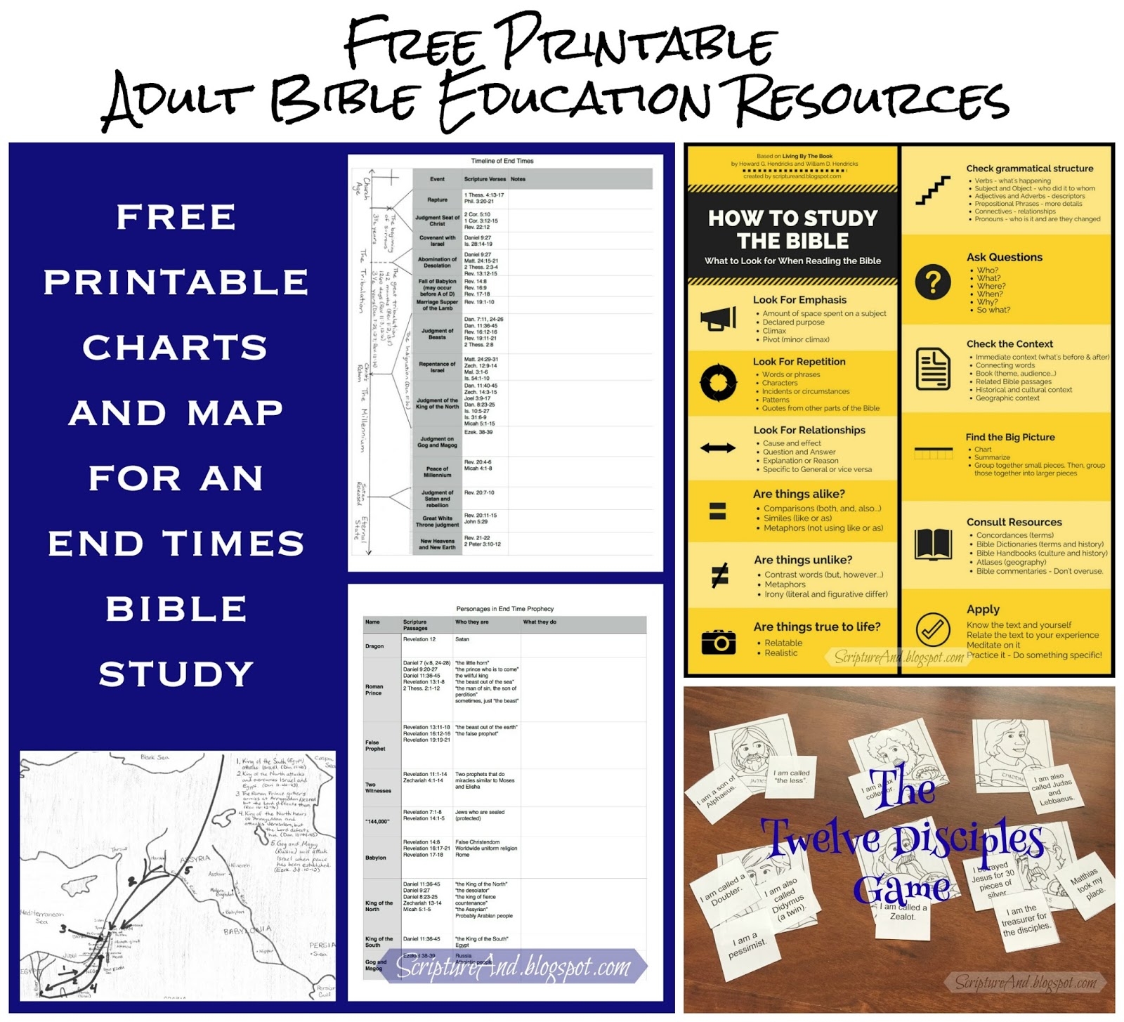 Adult Bible Studies