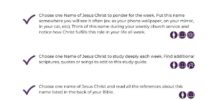 ADVOCATE FREE Believe On My Name PDF Printable BIBLE Study Guide Seek This Jesus Study
