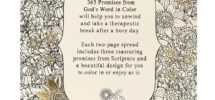 Amazon 365 Promises From God s Word In Color Scripture And Coloring Pages Compact Purse Size Be Blessed As You Color In The Inspirational Designs Reflecting On God s Words Of Promise 9781432115951