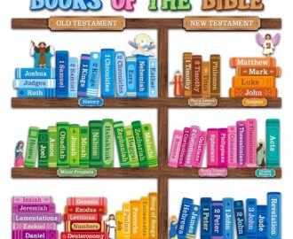 Amazon BeYumi Bible Learning Bookshelf Cutouts 110Pcs Back To School Books Of The Bible Learning Bulletin Board Set Faith Religious Christian Vacation Bible School Sunday School Classroom Chalkboard Decor Office