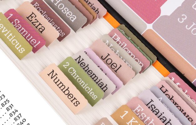 Amazon Bible Tabs 75 Tabs Bible Tabs For Women And Men Laminated Bible Tabs Large Print Bible Book Tabs Boho Theme Bible Index Tabs Neutral Labels Tabs For Bible Chapters