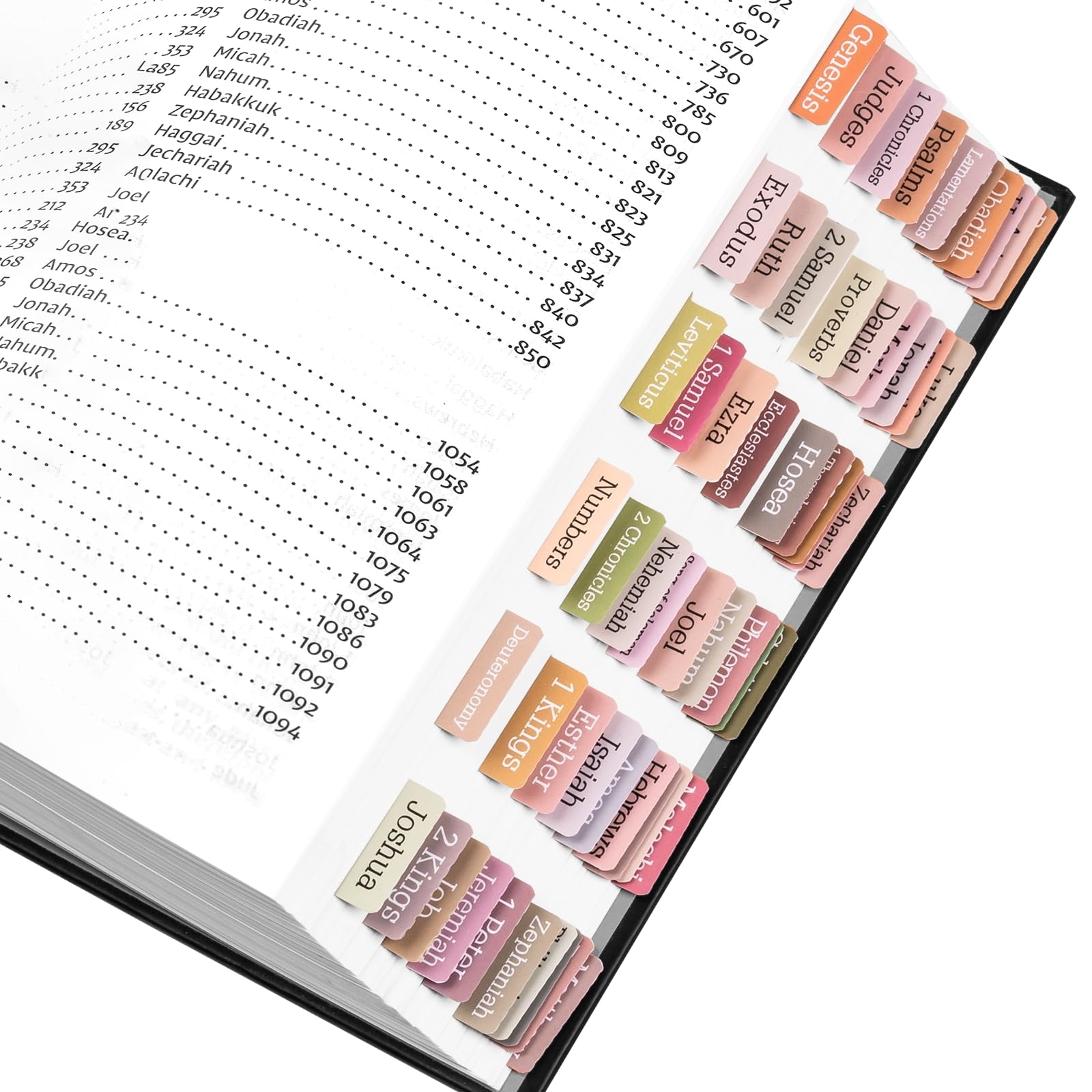 Amazon Bible Tabs 75 Tabs Bible Tabs For Women And Men Laminated Bible Tabs Large Print Bible Book Tabs Boho Theme Bible Index Tabs Neutral Labels Tabs For Bible Chapters 