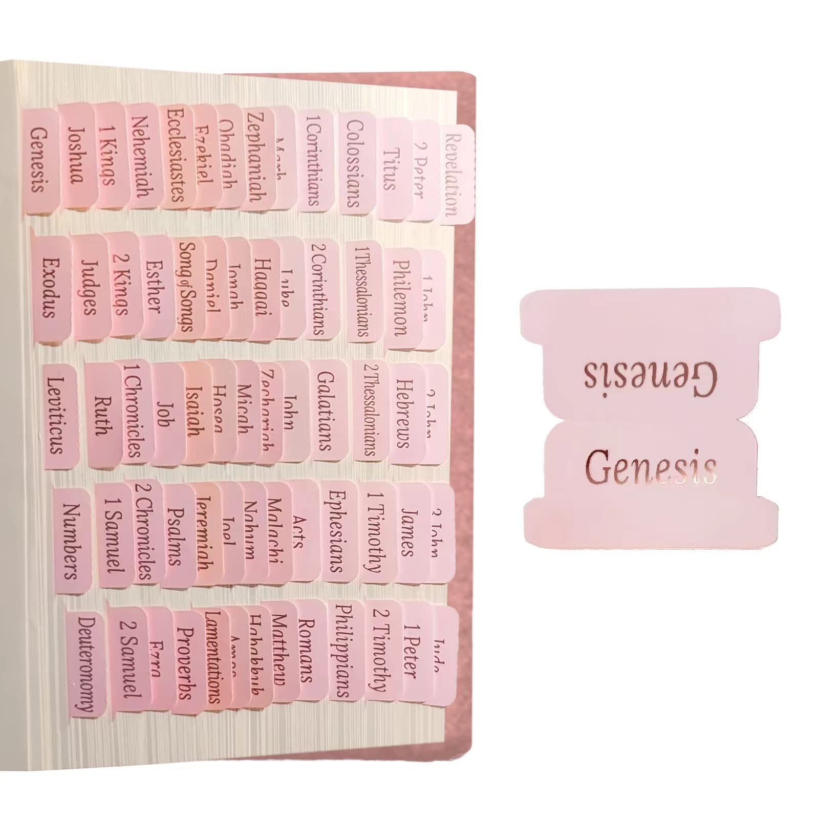 Amazon Bible Tabs For Journaling Supplies Pink For Women And Girls Laminated Rose Gold Large Print Index Tabs Old And New Testament For Study Office Products