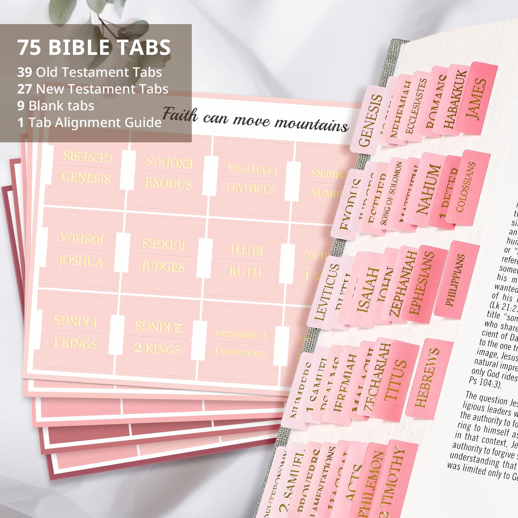 Printable Tab Guide for Bibles