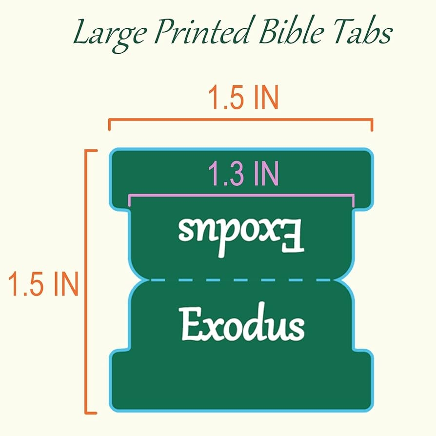 Amazon Bible Tabs Large Print Laminated Bible Tabs For Women And Men Easy To Read Bible Book Tabs For Study Bible Index Tabs For Old And New Testament Bible Labels Tabs