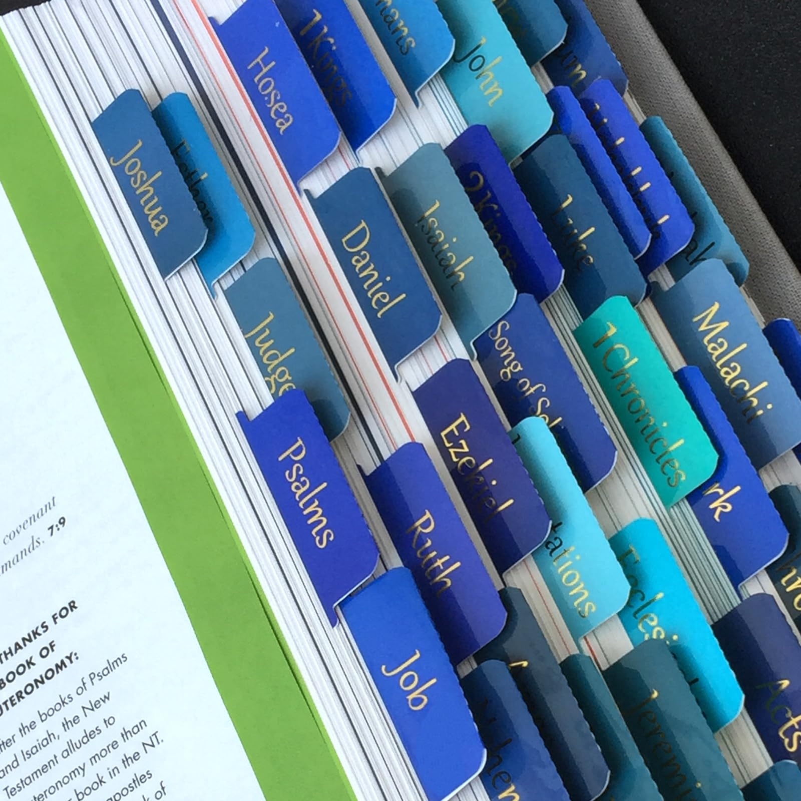 Amazon Bible Tabs Large Print Laminated Bible Tabs For Women And Men Easy To Read Bible Book Tabs For Study Bible Index Tabs For Old And New Testament Bible Labels Tabs