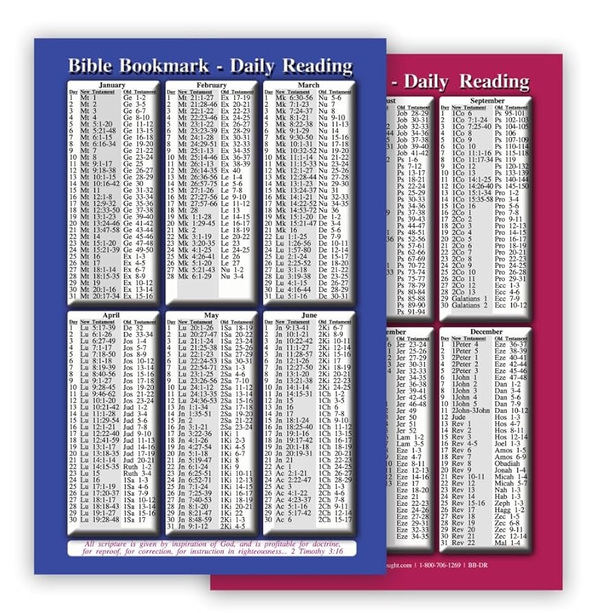 Amazon Daily Bible Reading Schedule For Year Set Of 25 