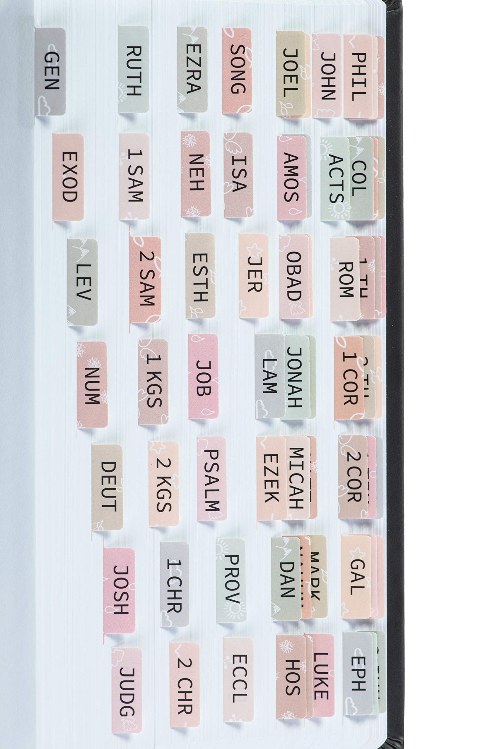 Amazon DiverseBee Laminated Bible Tabs Large Print Easy To Apply Bible Tabs Old And New Testament Bible Study Journaling Supplies Bible Accessories Bible Index Tabs 72 Bible Book Tabs Petal Medium 
