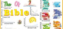 Amazon Gisgfim Books Of The Bible Bulletin Board Decorations Set Back To School Classroom Religious Paper Cutouts Colorful Christian Jesus Bulletin Board Decor For Sunday School Nursery VBS Chalkboard Wall Office