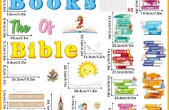 Amazon Gisgfim Books Of The Bible Bulletin Board Decorations Set Back To School Classroom Religious Paper Cutouts Colorful Christian Jesus Bulletin Board Decor For Sunday School Nursery VBS Chalkboard Wall Office