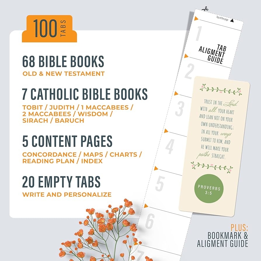 Amazon Green Blue Pink Bible Book Tabs 100 Soft Touch Laminated Bible Tabs For Jesus Bible Bible Accessories Protestant Catholic Bible Tabs Bible Tabs For Women Men Office