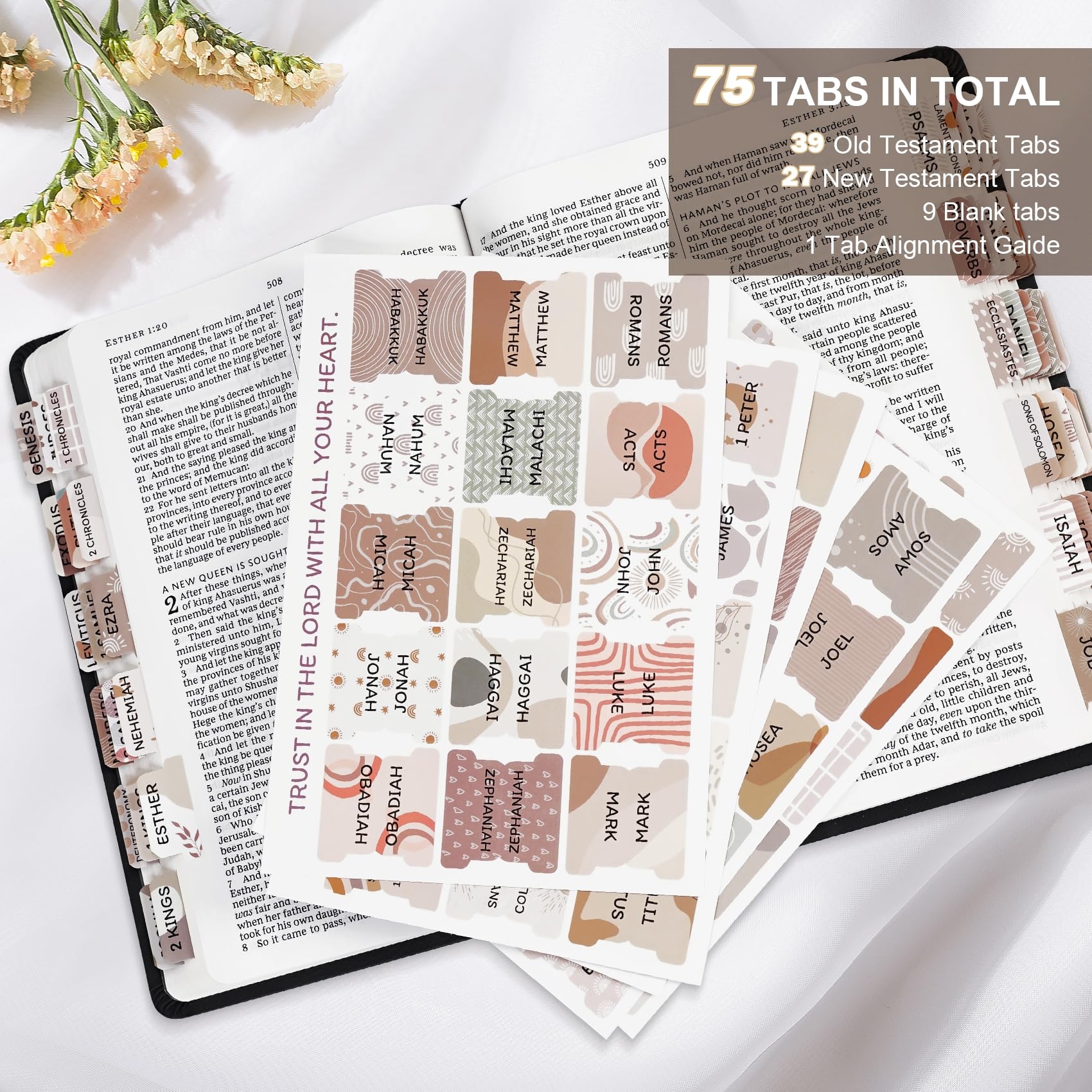 Amazon Laminated Bible Tabs For Women Men Large Print Tabs For Study Bibles Boho Theme For Easy Navigation And Quick Reference Easy to Read And Apply Tabs For All Ages 
