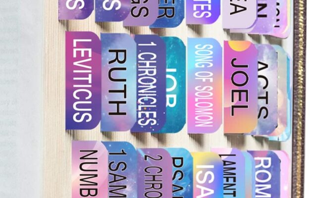 Amazon Laminated Colorful Bible Tabs For Unisex Personalized Bible Journaling Tabs With Matte 80 Bible Index Tabs In Total 66 Tabs For Old And New Testament 14 Blank Tabs Large Print