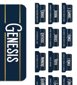 Amazon Manly Grace Bible Tabs For Men Soul Nourishing Book Summaries 66 Peel and Stick Large Print Laminated Bible Book Tabs Bible Study Supplies Mens Bible Tabs Blue The Shepherd