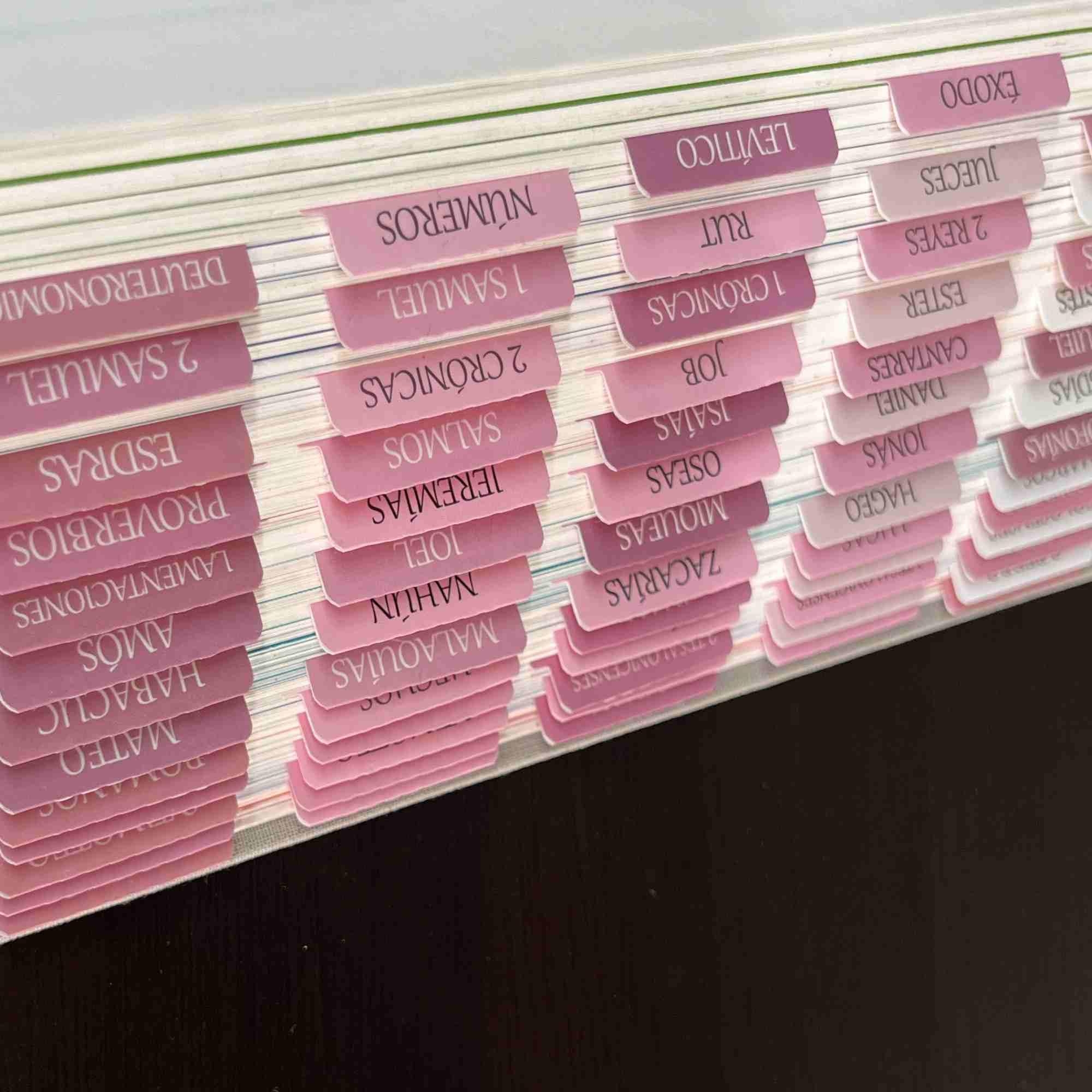 Amazon Spanish Laminated Bible Tabs Pesta as Para Biblia En Espa ol Reposition Large Print Stickers Easy To Read And Apply Bible Tabs For Women And Man Spanish Pink Office Products