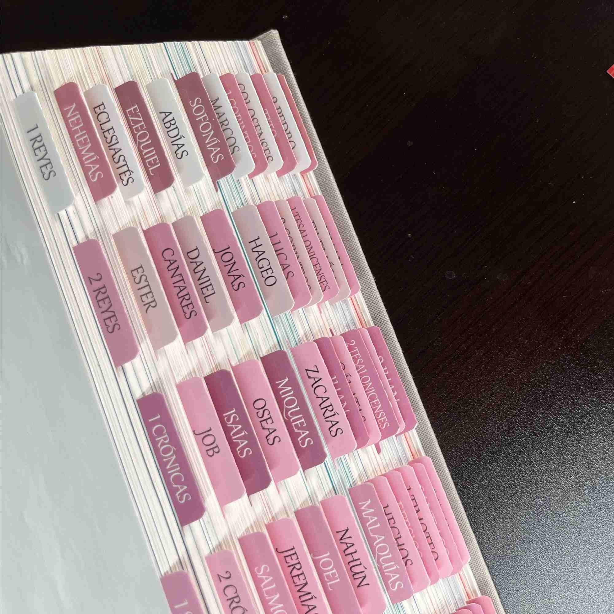 Amazon Spanish Laminated Bible Tabs Pesta as Para Biblia En Espa ol Reposition Large Print Stickers Easy To Read And Apply Bible Tabs For Women And Man Spanish Pink Office Products