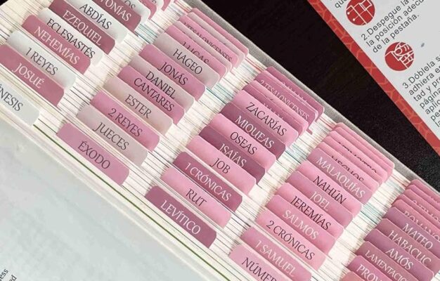 Amazon Spanish Laminated Bible Tabs Pesta as Para Biblia En Espa ol Reposition Large Print Stickers Easy To Read And Apply Bible Tabs For Women And Man Spanish Pink Office Products