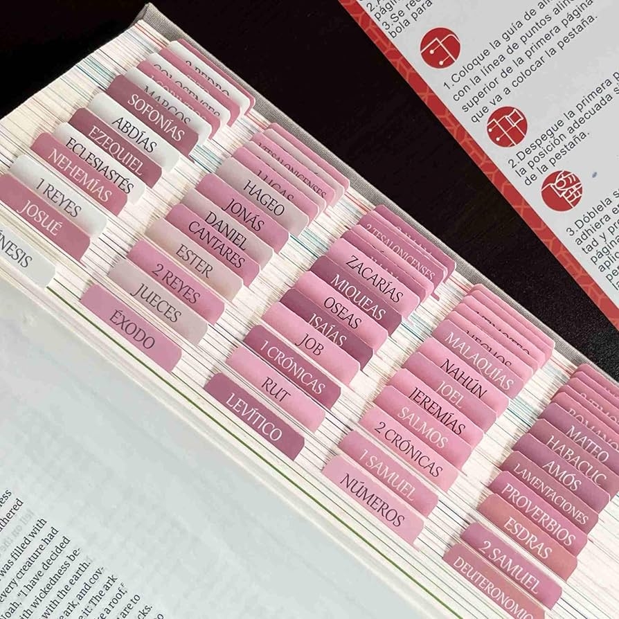 Amazon Spanish Laminated Bible Tabs Pesta as Para Biblia En Espa ol Reposition Large Print Stickers Easy To Read And Apply Bible Tabs For Women And Man Spanish Pink Office Products