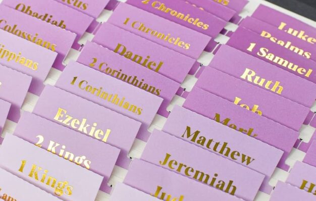 Amazon VANRA Bible Tabs For Women Bible Journaling Supplies Large Print 96 Tabs In Total For Old And New Testament Studying With Blank Laminated Bible Tabs Gold Lettering Office Products