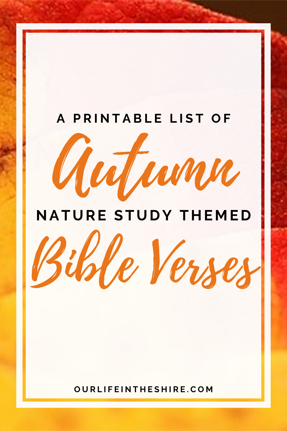 Autumn Nature Study Bible Memory Verses Our Life In The Shire