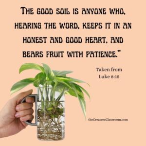 Be Deeply Rooted In Christ Learn How From Nature The Creator s Classroom