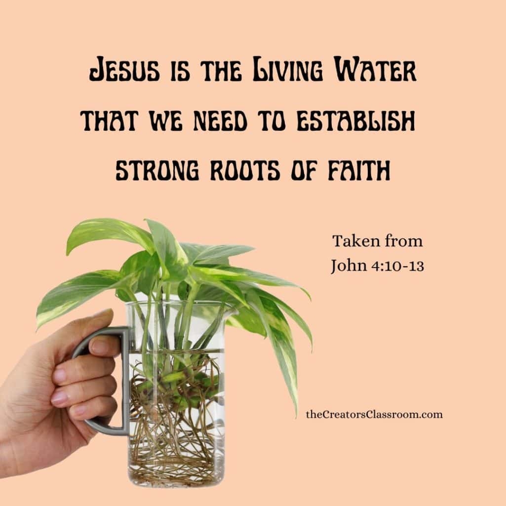 Be Deeply Rooted In Christ Learn How From Nature The Creator s Classroom
