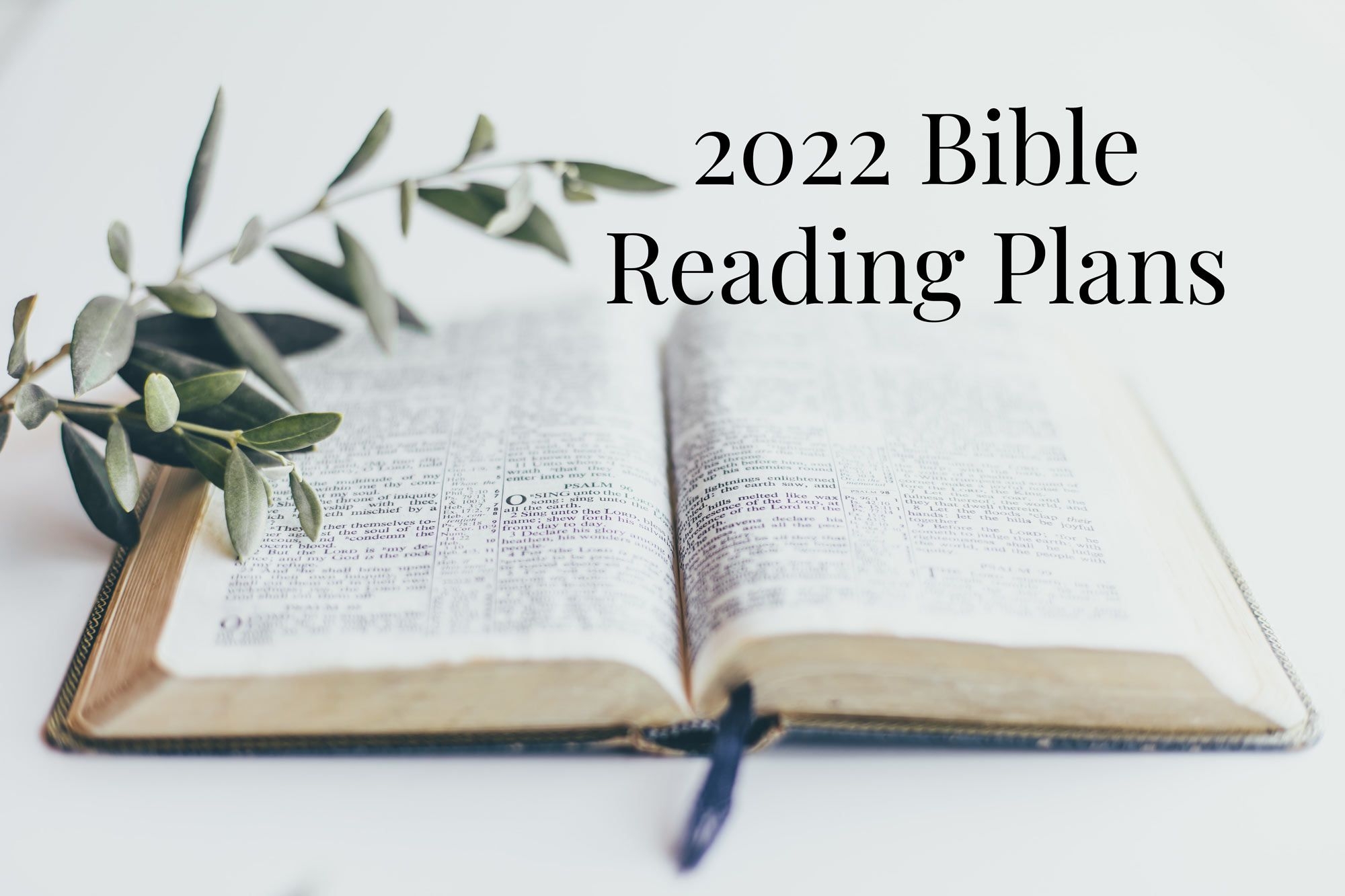 Best Bible Reading Plans For 2022