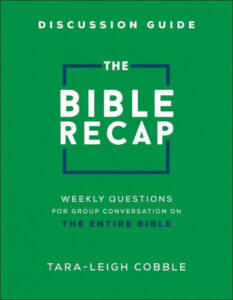 Bethany House Publishers The Bible Recap Study Guide Chronological Reading And Reflection Workbook Paperback Walmart
