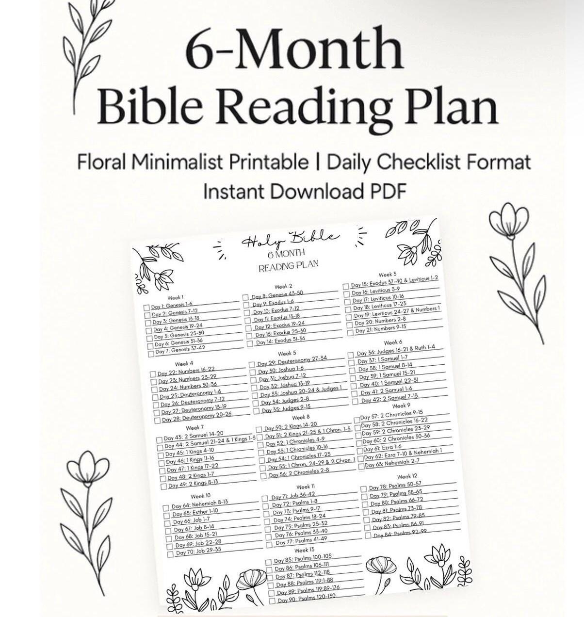 Bible 6 Month Reading Plan Etsy