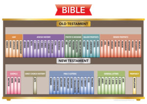 Bible Bookcase Eternity Is Real