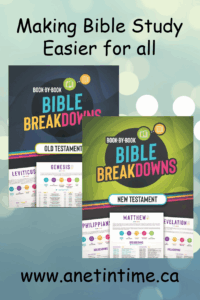bible breakdowns a net in time