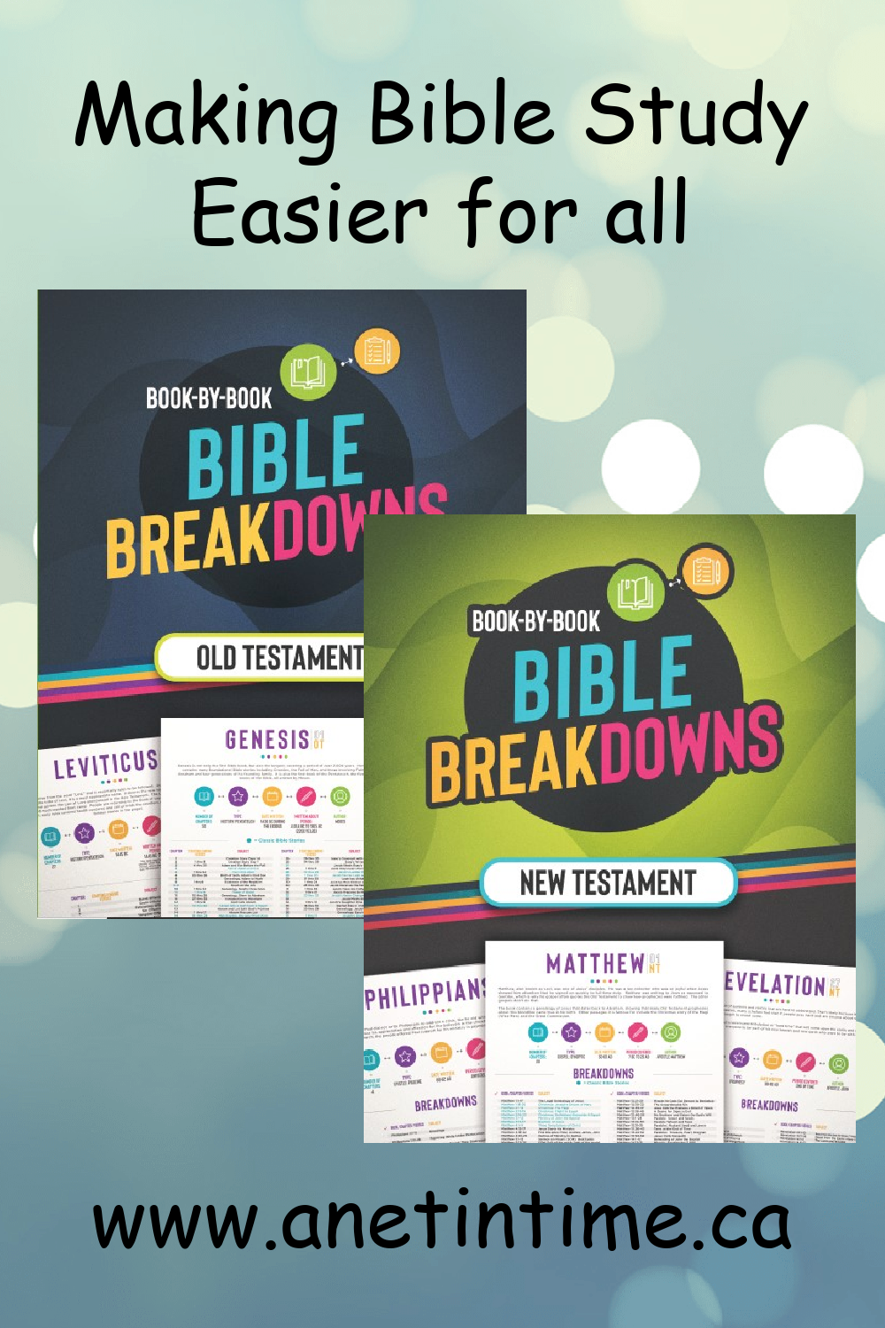 bible breakdowns a net in time