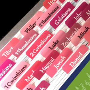 Bible Chapter Tabs Bible Tabs Set 90 Laminated Dividers 66 Pre Printed 24 Blank Boho Style Large Print Book Labels Books Of The Bible Tabs