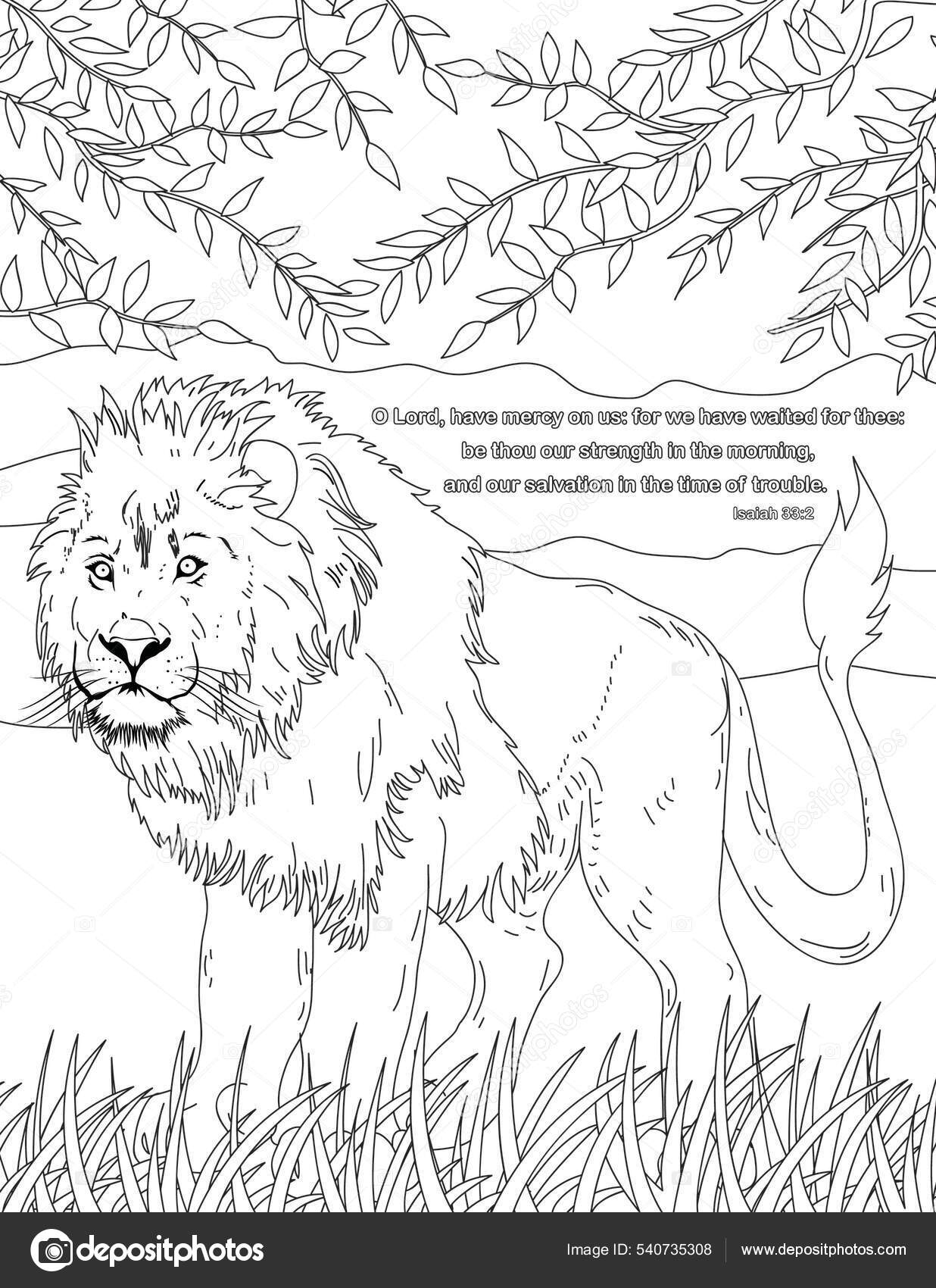 Bible Coloring Book Page Adults Stock Vector By ImagePlus 540735308