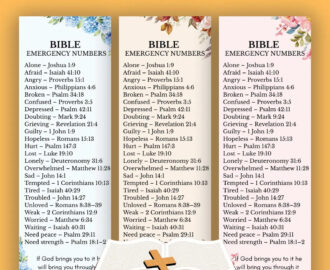 Bible Emergency Numbers Bookmark Printable Emergency Bible Verse Bookmark Scripture Emergency Numbers Bible Verse Phone Numbers Bookmark Etsy
