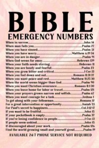 Bible Emergency Numbers Notebook Journal Pink 150 Page 6x9in Lined Notebook Agency Thee Phoenix Amazon de Books