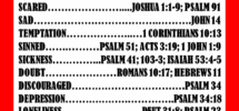 Bible Hotline Bible IQ