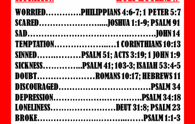 Bible Hotline Bible IQ