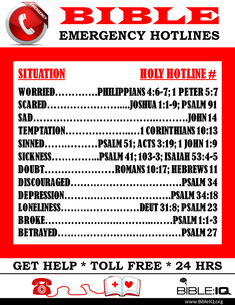Bible Hotline Bible IQ