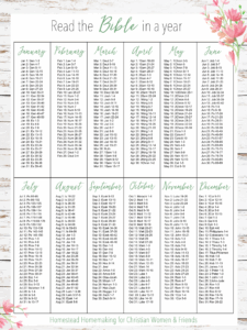 Bible In One Year Printable Plan Easily Read Through