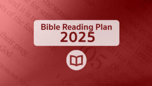 Bible Reading Plan 2025